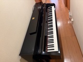 グラビノーパ（ピアノ・楽器・PA機材）の商品画像 - 査定依頼日：2026年1月24日 - 最高査定価格：5,000円