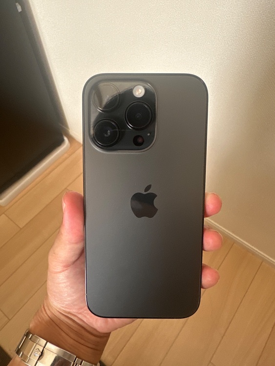 iPhone iPhone 14 Pro 256GB docomo（スマホ）の商品画像 - 査定依頼日：2026年10月10日 - 最高査定価格：73,000円