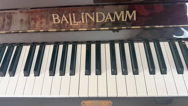 BAILINDAMM（ピアノ・楽器・PA機材）の商品画像 - 査定依頼日：2026年7月26日 - 最高査定価格：20,000円
