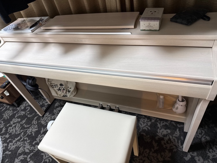 CN201A（ピアノ・楽器・PA機材）の商品画像 - 査定依頼日：2025年9月30日 - 最高査定価格：12,000円