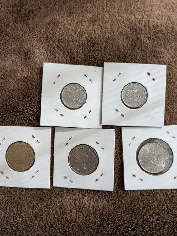 外国コイン（美術品・骨董品）の商品画像 - 査定依頼日：2025年2月23日