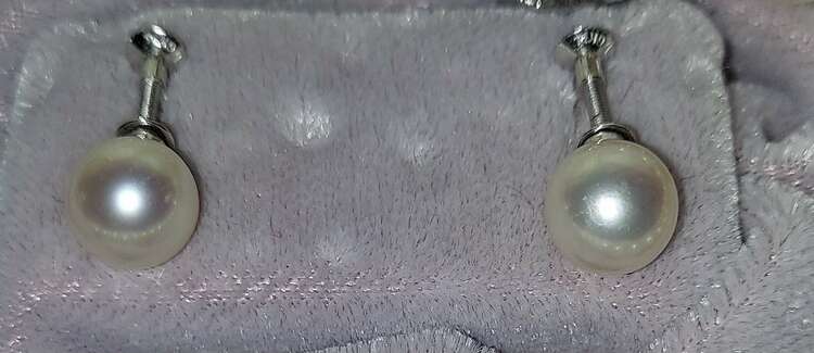 MORI Pearls（宝石）の商品画像 - 査定依頼日：2025年2月10日 - 最高査定価格：10,000円