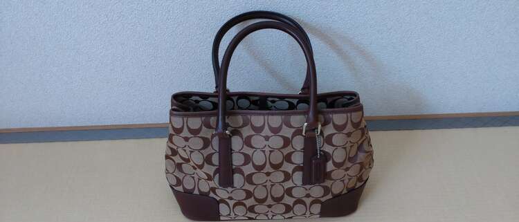 その他 コーチ （ブランドバッグ）の商品画像 - 査定依頼日：2025年3月22日 - 最高査定価格：3,000円