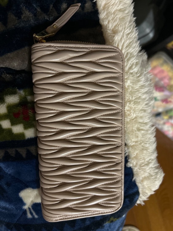 ミュウミュウ  （ブランドバッグ）の商品画像 - 査定依頼日：2025年12月25日 - 最高査定価格：40,000円