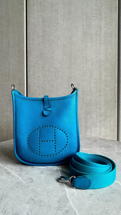 エブリンミニ（ブランドバッグ）の商品画像 - 査定依頼日：2026年1月16日 - 最高査定価格：330,000円