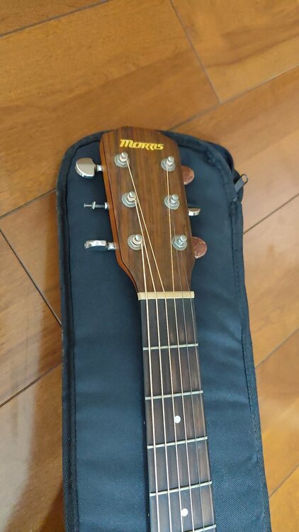 morris s-40（ピアノ・楽器・PA機材）の商品画像 - 査定依頼日：2026年4月14日 - 最高査定価格：5,000円