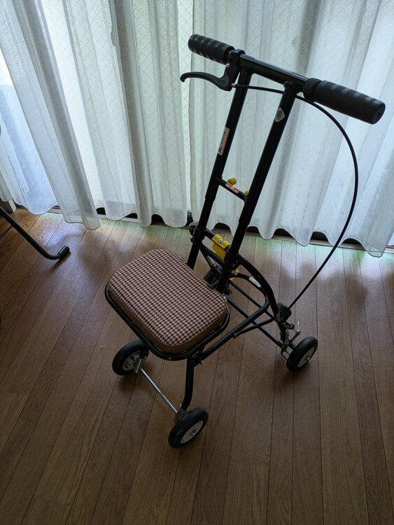 シルバーカー（介護用品）の商品画像 - 査定依頼日：2026年1月3日 - 最高査定価格：3,000円