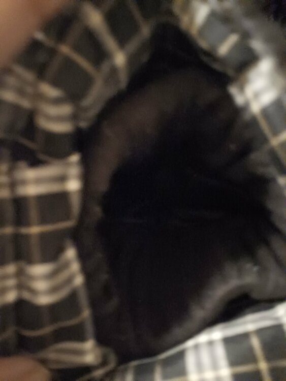 その他 その他 （ブランドバッグ）の商品画像 - 査定依頼日：2026年3月11日 - 最高査定価格：3,000円