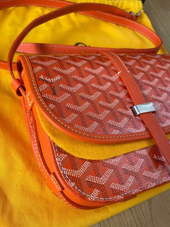 ゴヤール  （ブランドバッグ）の商品画像 - 査定依頼日：2025年5月14日 - 最高査定価格：310,000円