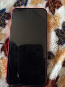 iPhone 12 mini 64GB au（スマホ）の商品画像 - 査定依頼日：2025年1月17日 - 最高査定価格：27,000円