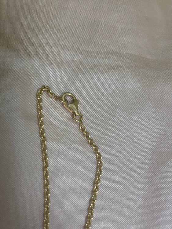 カルティエ　loveネックレス（金・貴金属）の商品画像 - 査定依頼日：2025年3月25日 - 最高査定価格：160,000円