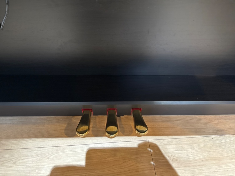 CA401（ピアノ・楽器・PA機材）の商品画像 - 査定依頼日：2026年4月7日 - 最高査定価格：5,000円