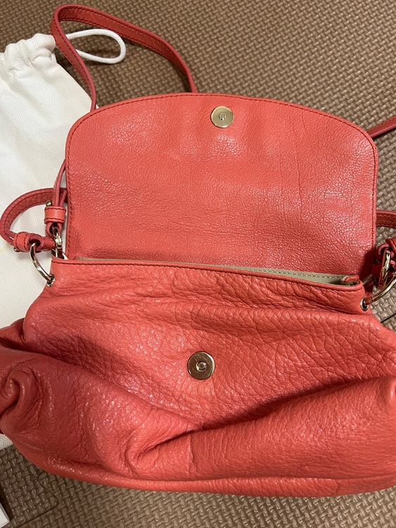 分からない（ブランドバッグ）の商品画像 - 査定依頼日：2025年10月22日 - 最高査定価格：10,000円