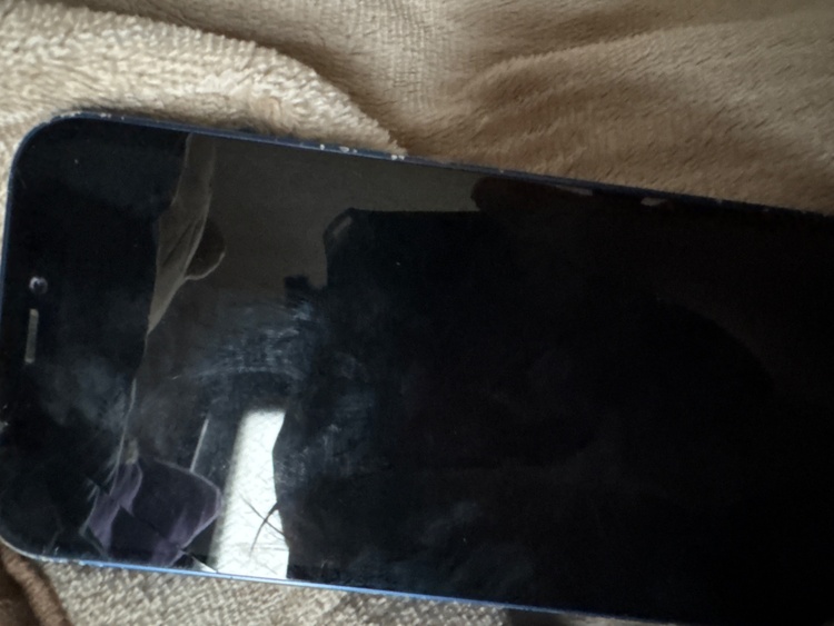 iPhone 12 mini 128GB au（スマホ）の商品画像 - 査定依頼日：2026年2月11日 - 最高査定価格：11,000円