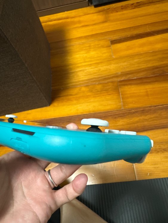 Nintendo Switch Light（ゲーム機本体・ゲームソフト）の商品画像 - 査定依頼日：2023年10月9日 - 最高査定価格：10,000円