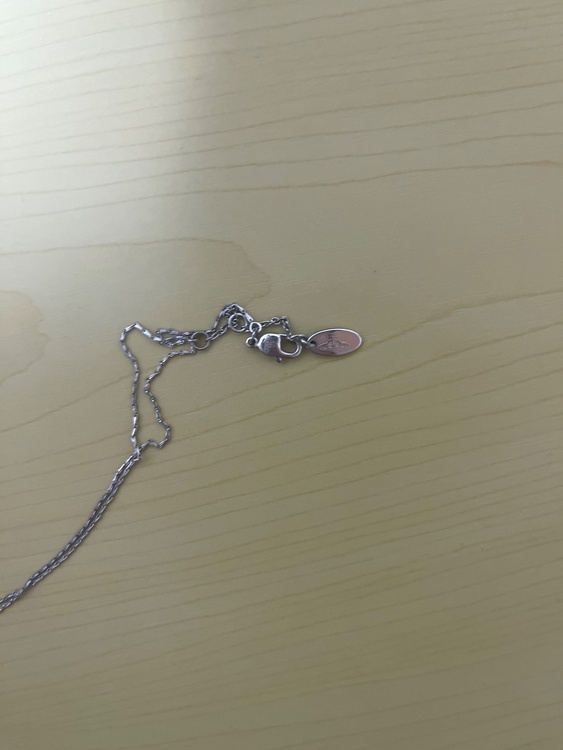 ヴィヴィアンウエストウッドネックレス（古着・ファッション）の商品画像 - 査定依頼日：2026年3月25日 - 最高査定価格：1,000円