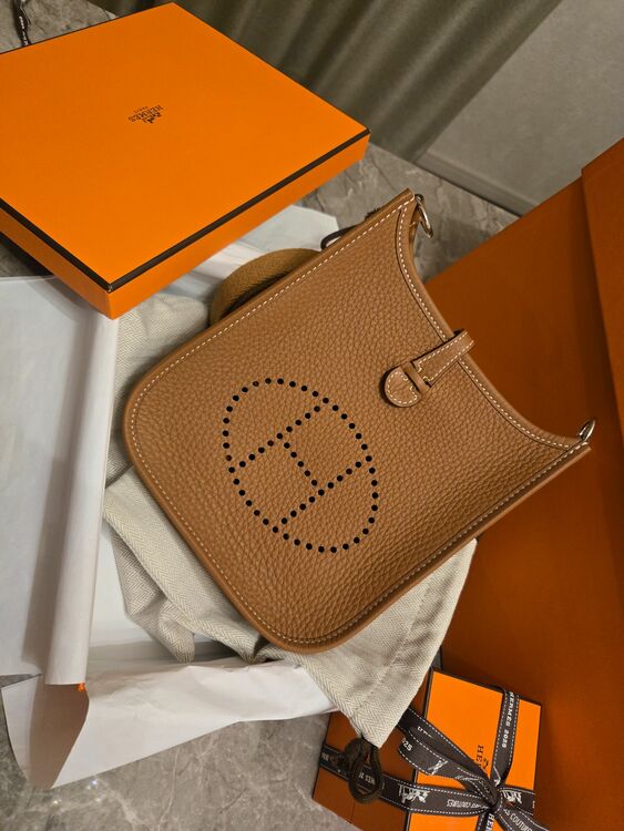 エブリンミニ (pm)（ブランドバッグ）の商品画像 - 査定依頼日：2025年10月29日 - 最高査定価格：425,000円