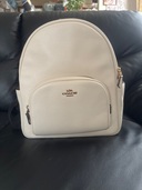 その他 コーチ （ブランドバッグ）の商品画像 - 査定依頼日：2025年11月19日 - 最高査定価格：3,500円