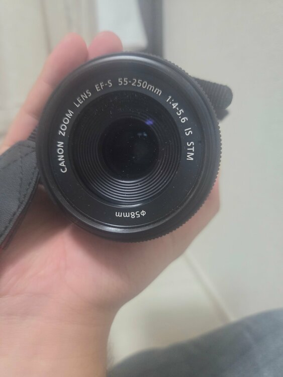 Canon kissx10（カメラ）の商品画像 - 査定依頼日：2026年10月2日 - 最高査定価格：46,000円
