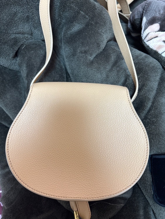 その他 クロエ （ブランドバッグ）の商品画像 - 査定依頼日：2026年3月22日 - 最高査定価格：50,000円