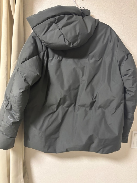 【+phenix / プラスフェニックス】別注 ゴアテックス ダウンジャケット （古着・ファッション）の商品画像 - 査定依頼日：2025年11月9日 - 最高査定価格：10,000円