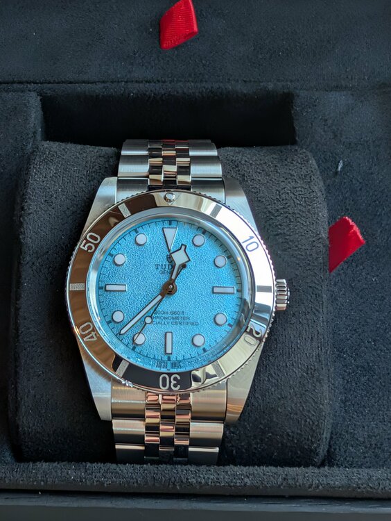 チューダー ブラックベイ M79000-0001（高級時計）の商品画像 - 査定依頼日：2026年3月17日 - 最高査定価格：750,000円