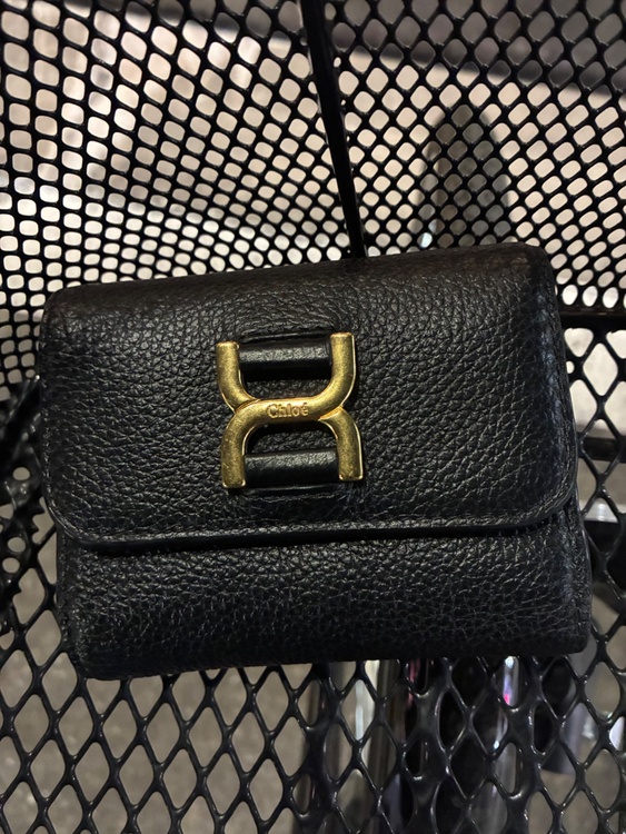 その他 クロエ （ブランドバッグ）の商品画像 - 査定依頼日：2026年1月22日 - 最高査定価格：17,000円