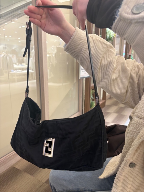 FENDI（ブランドバッグ）の商品画像 - 査定依頼日：2026年2月24日 - 最高査定価格：100,000円