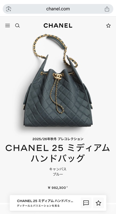 シャネル シャネル(その他) （ブランドバッグ）の商品画像 - 査定依頼日：2025年11月13日 - 最高査定価格：800,000円