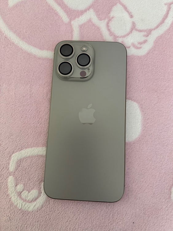 iPhone iPhone 15 Pro Max 256GB SIMフリー（スマホ）の商品画像 - 査定依頼日：2026年9月29日 - 最高査定価格：106,000円