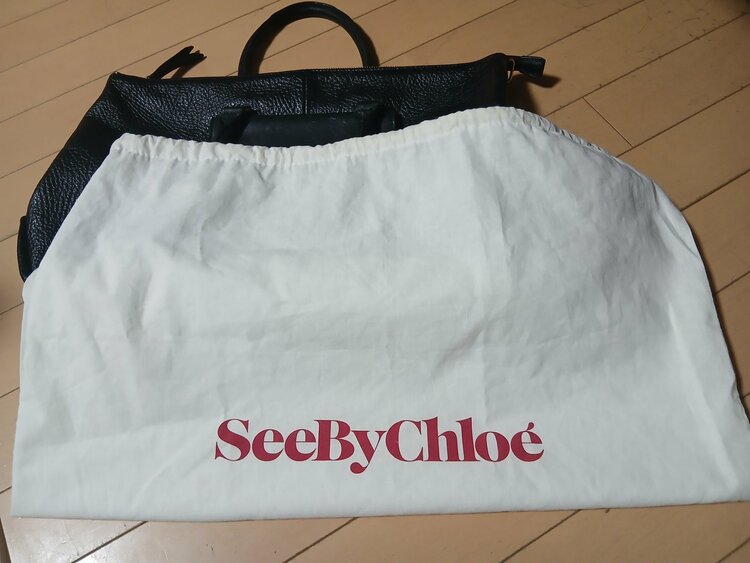 その他 クロエ （ブランドバッグ）の商品画像 - 査定依頼日：2025年12月8日 - 最高査定価格：10,000円