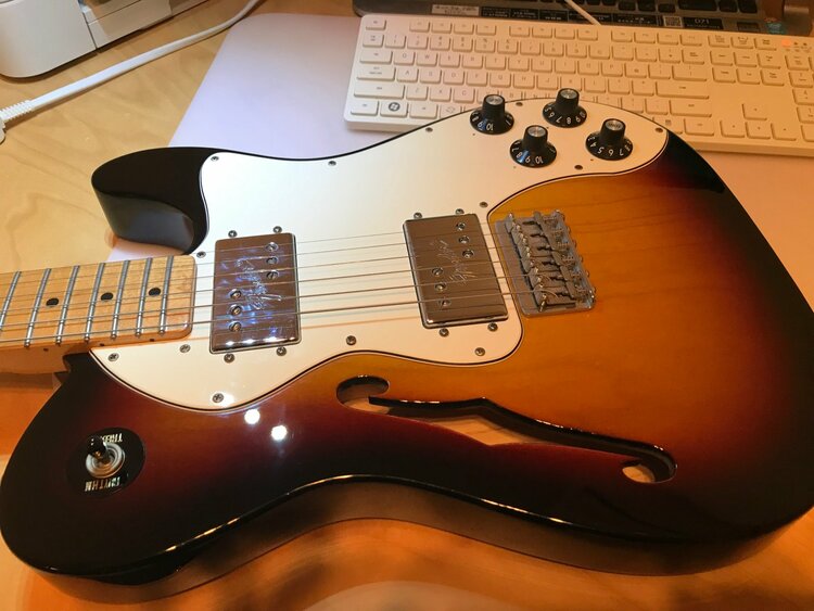 Fender MexicoテレキャスターシンラインMXI1151845 （ピアノ・楽器・PA機材）の商品画像 - 査定依頼日：2026年5月10日 - 最高査定価格：45,000円