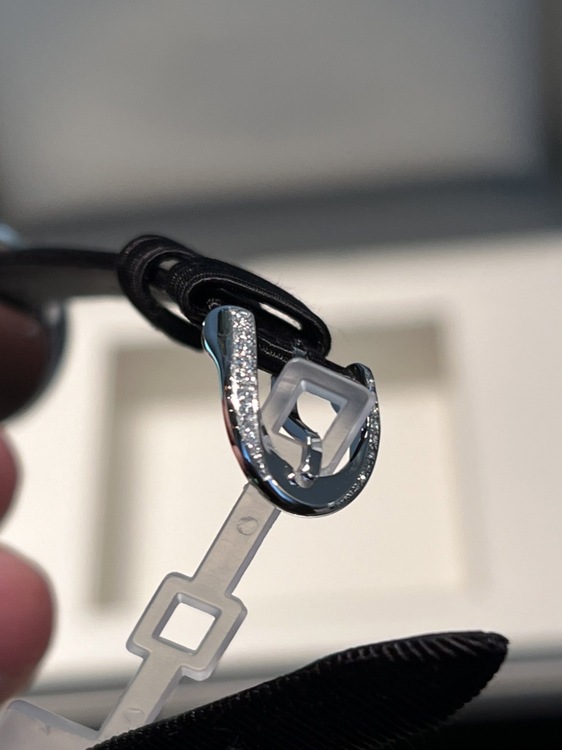 Tiffany日本上陸50周年限定モデル（高級時計）の商品画像 - 査定依頼日：2026年1月13日 - 最高査定価格：3,000,000円