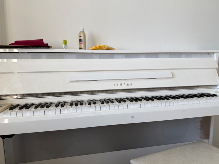 Yamaha NU1PBW（2016年）（ピアノ・楽器・PA機材）の商品画像 - 査定依頼日：2026年4月18日 - 最高査定価格：10,000円