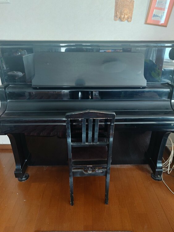 BL-71（ピアノ・楽器・PA機材）の商品画像 - 査定依頼日：2026年4月4日 - 最高査定価格：20,000円