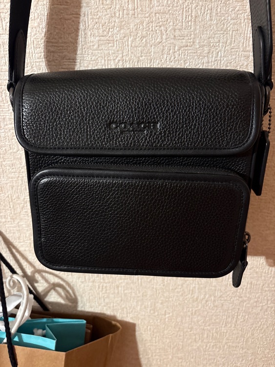 その他 コーチ （ブランドバッグ）の商品画像 - 査定依頼日：2025年9月27日 - 最高査定価格：3,000円