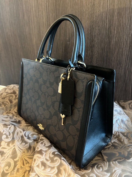 その他 コーチ （ブランドバッグ）の商品画像 - 査定依頼日：2025年9月27日 - 最高査定価格：5,000円