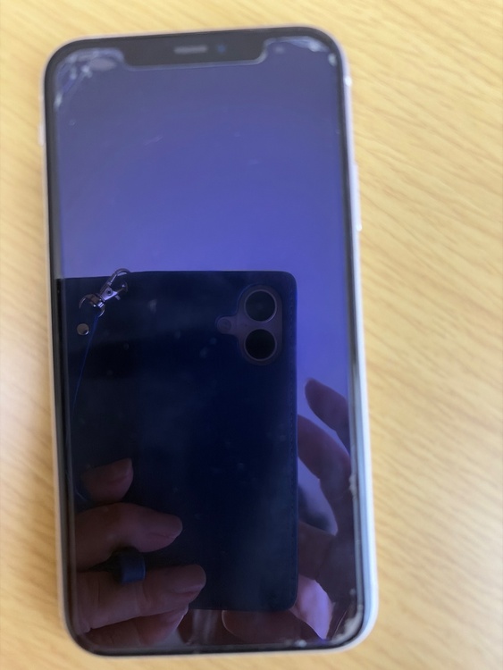 iPhone iPhone11 64GB Softbank（スマホ）の商品画像 - 査定依頼日：2026年8月31日 - 最高査定価格：19,500円