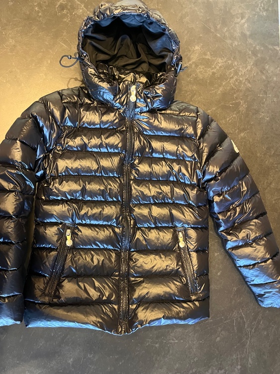 ダウンジャケット（古着・ファッション）の商品画像 - 査定依頼日：2026年1月16日 - 最高査定価格：2,000円