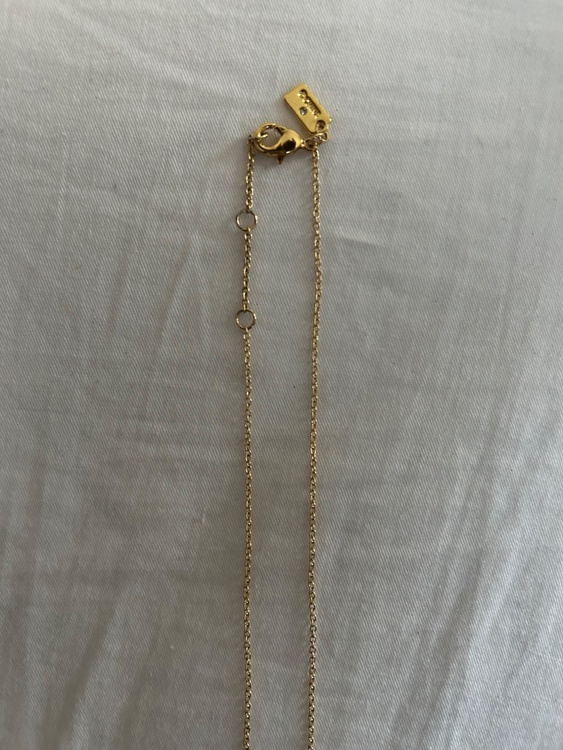 COACHネックレス（金・貴金属）の商品画像 - 査定依頼日：2026年4月27日 - 最高査定価格：1,000円