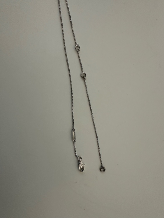 ヴァンクリーフ　パピヨン　ネックレス　ホワイトゴールドターコイズ（金・貴金属）の商品画像 - 査定依頼日：2026年3月16日 - 最高査定価格：300,000円