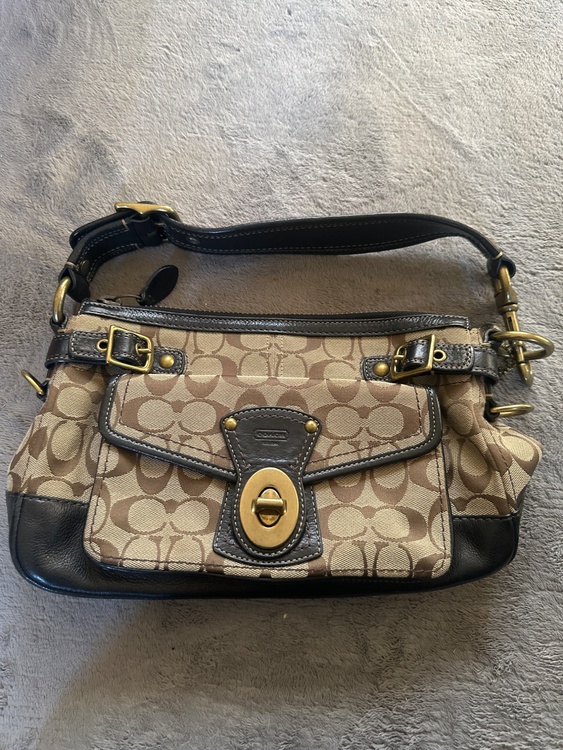 わかりません（ブランドバッグ）の商品画像 - 査定依頼日：2026年3月12日 - 最高査定価格：3,000円