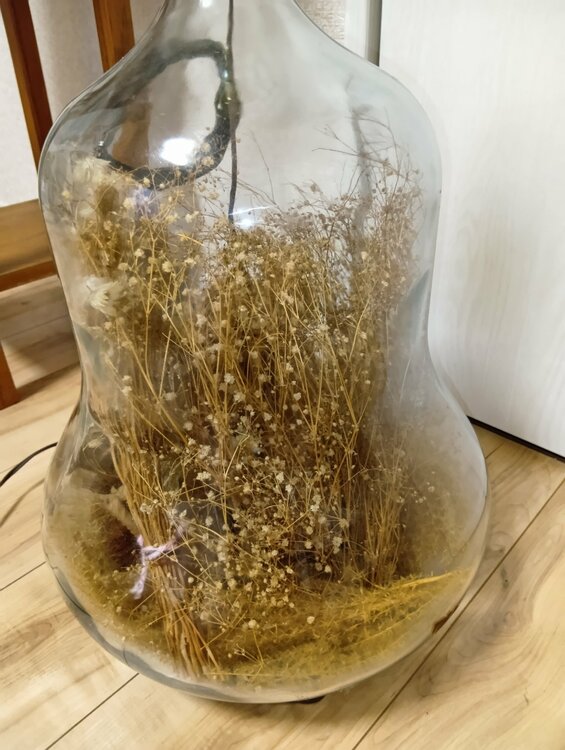 照明 LEVITON製ソケット（美術品・骨董品）の商品画像 - 査定依頼日：2026年8月21日 - 最高査定価格：100,000円