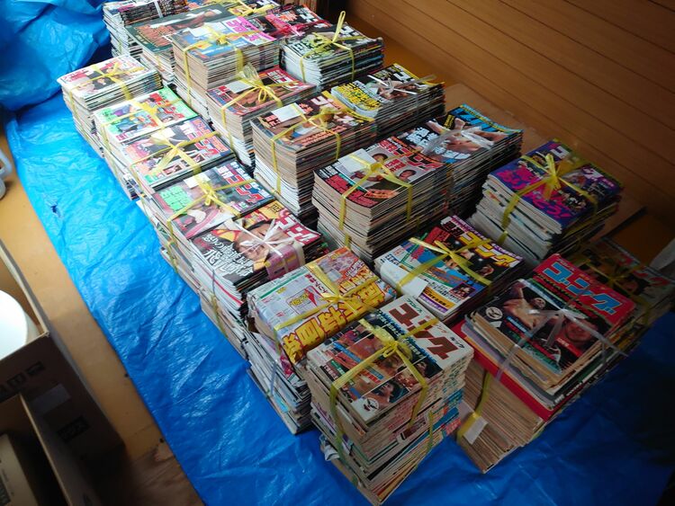 週刊プロレス、週刊ゴング。（古本）の商品画像 - 査定依頼日：2025年8月24日 - 最高査定価格：1,000円