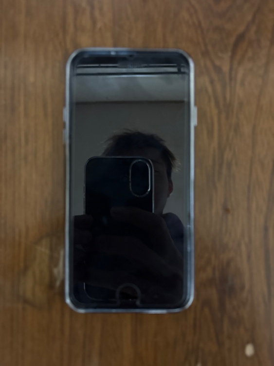 iPhone SE (第 3 世代) 128GB SIMフリー（スマホ）の商品画像 - 査定依頼日：2026年3月15日 - 最高査定価格：18,000円