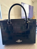 その他 コーチ （ブランドバッグ）の商品画像 - 査定依頼日：2026年3月4日 - 最高査定価格：10,000円