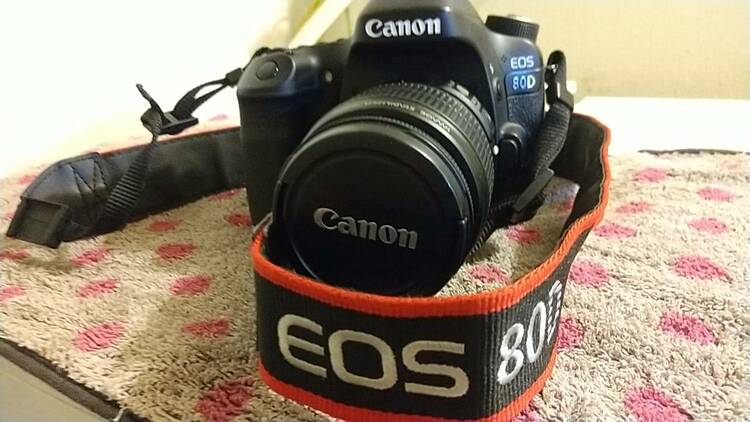 CanonEOS80d（カメラ）の商品画像 - 査定依頼日：2026年4月26日 - 最高査定価格：43,100円