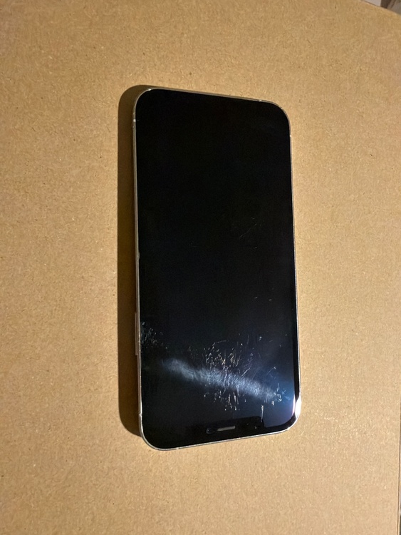 iPhone 12 Pro 256GB SIMフリー（スマホ）の商品画像 - 査定依頼日：2026年2月1日 - 最高査定価格：31,000円