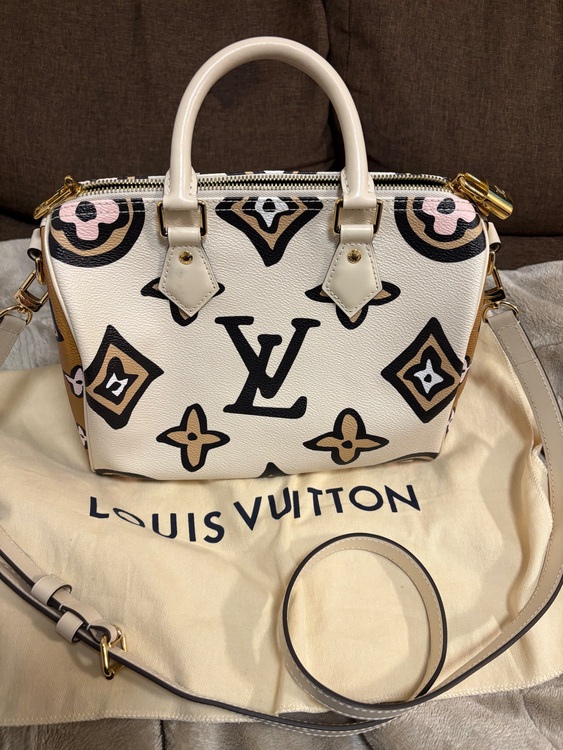 ルイヴィトン スピーディー （ブランドバッグ）の商品画像 - 査定依頼日：2025年11月26日 - 最高査定価格：270,000円