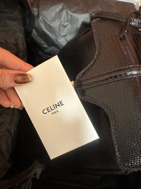 ミニ 16（セーズ） / リザード（ブランドバッグ）の商品画像 - 査定依頼日：2025年12月27日 - 最高査定価格：400,000円